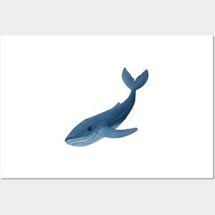 Blue whale Posters and Art